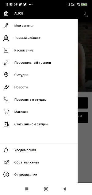 AliceStudio Screenshot 2
