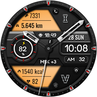 DANATOM CTS76 Watch face