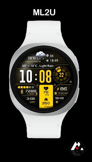 ML2U 134b Digital Hybrid Screenshot 3