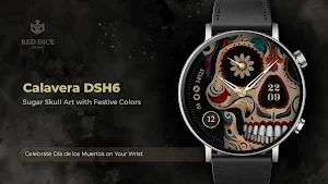 Reddice Calavera DSH6 Screenshot 0
