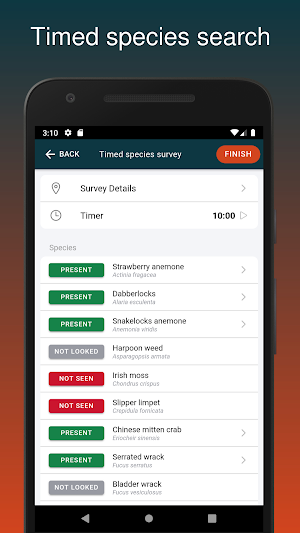 Shoresearch Screenshot 2