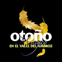 OTOÑO MÁGICO 2020 - VALLE DEL 