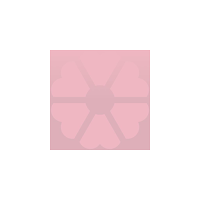 PINK DANDELION BOUTIQUE