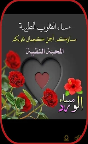 اجمل صور مساء الخير Screenshot 0