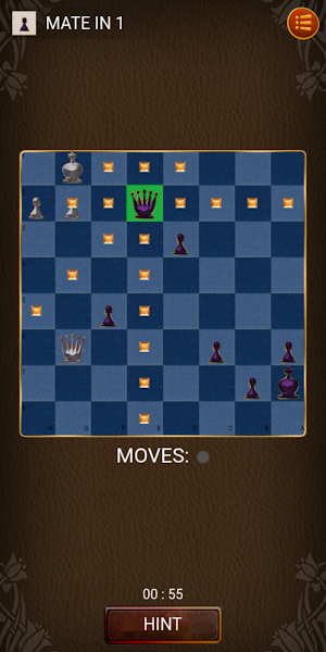 Chess Practice Play Screenshot 3