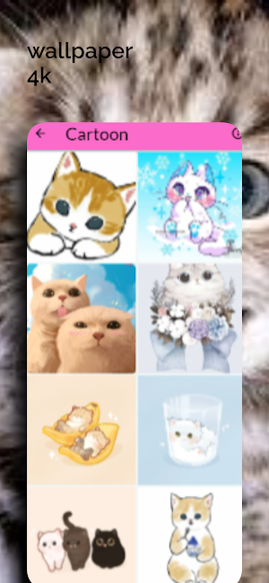 Cute Kittens Wallpaper HD/4k Screenshot 2