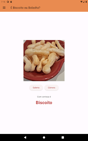 Biscoito ou Bolacha? Screenshot 2