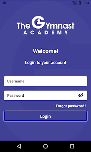 The Gymnast Academy Screenshot 0