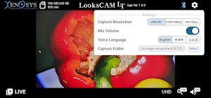 LooksCAM LT Screenshot 1