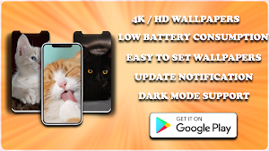 Cute Cat and Dog Wallpapers HD Screenshot 0