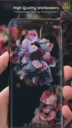 Flower Wallpapers 8K ULTRA Screenshot 2