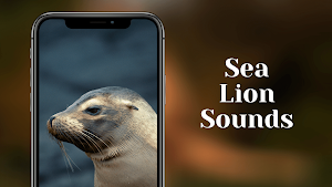Sea lion sounds Screenshot 0
