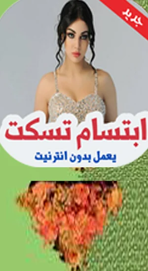 اغاني  إبتسام تسكت   بدون نت Screenshot 1