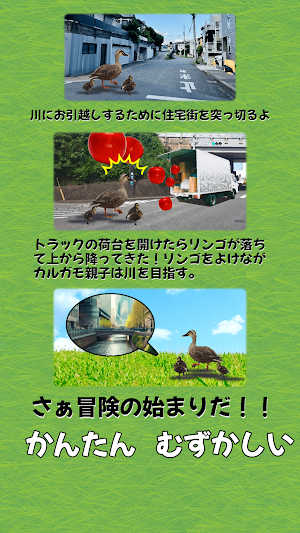 カルガモ親子冒険記 Screenshot 2