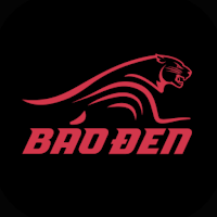 Báo Đen Logistics