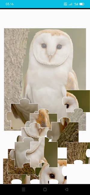 Owls Scary Puzzle Game Screenshot 3