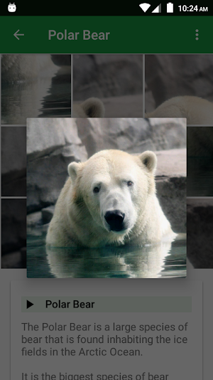 Wild Animals Puzzle Screenshot 2