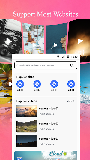 Video Downloader Express Screenshot 0
