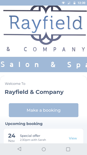 Rayfield & Company Screenshot 0