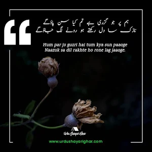 Bewafa Shayari: Bewafa Status Screenshot 3