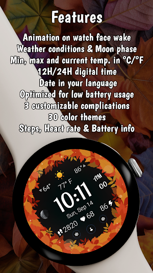 Autumn Leaves Screenshot 2