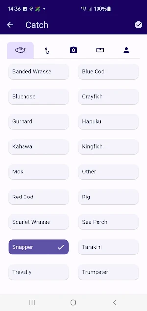 Mainland Catch Screenshot 2