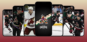 Arizona Coyotes Wallpapers 4K Screenshot 0