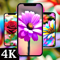 Flower Wallpapers Full HD 4K
