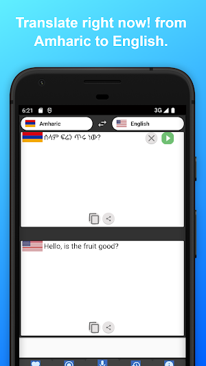 English to Amharic Translator Screenshot 3