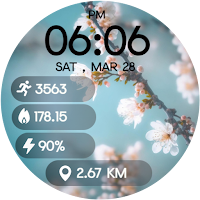 Spring Blossom Watch Face