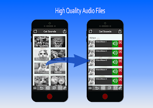 Cat Sounds and Video Portal Screenshot 1