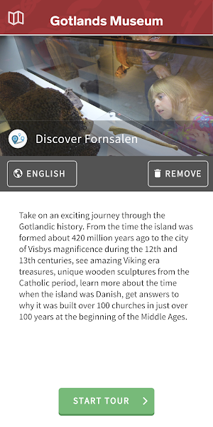 Gotlands Museum Screenshot 0