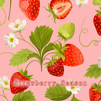 Strawberry Season Theme +HOME