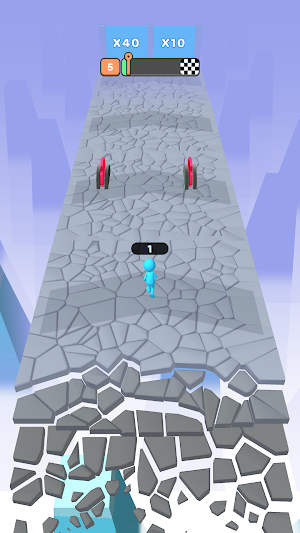Fall Run 3D Screenshot 0