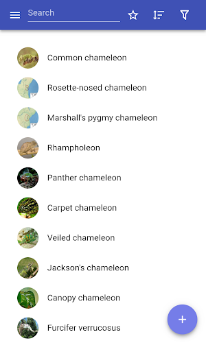 Chameleons Screenshot 0