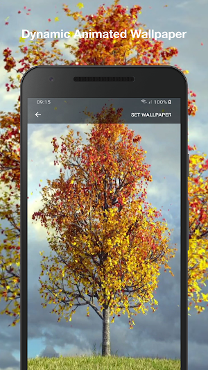 Autumn Maple Live Wallpaper PRO Screenshot 1