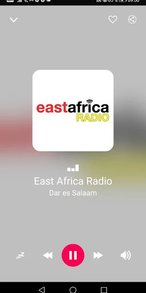 Tanzanian Radio Stations Screenshot 2