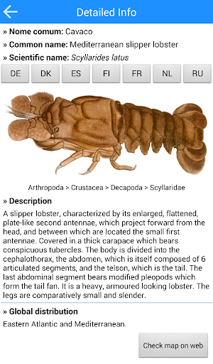 MadeiraFish Screenshot 2