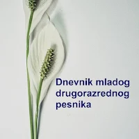 Dnevnik
