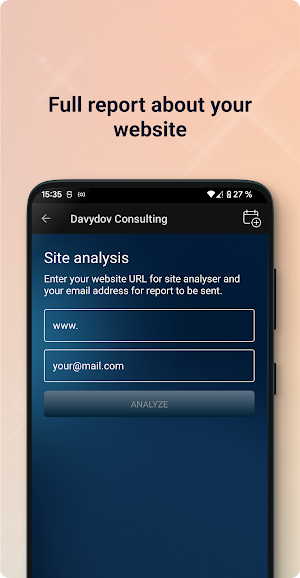 Davydov Consulting Screenshot 2