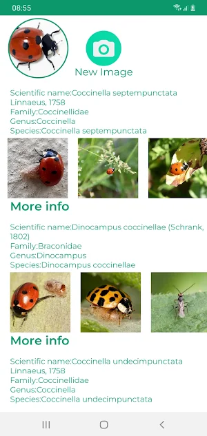 Insect ID - AI insect identify Screenshot 0