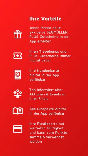 SEGMÜLLER Screenshot 2