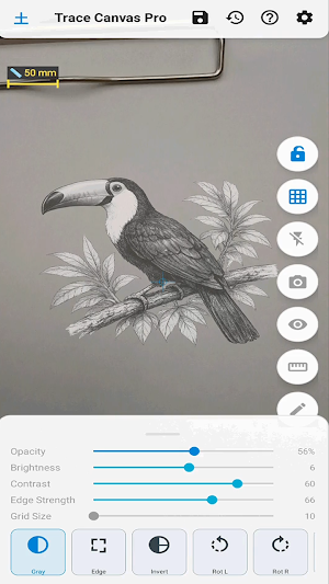 Trace Canvas Screenshot 2