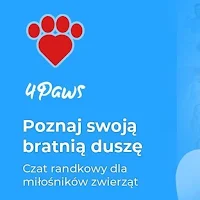 4Paws - randki i spacery