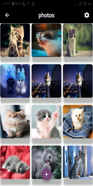 Cats wallpapers Screenshot 0