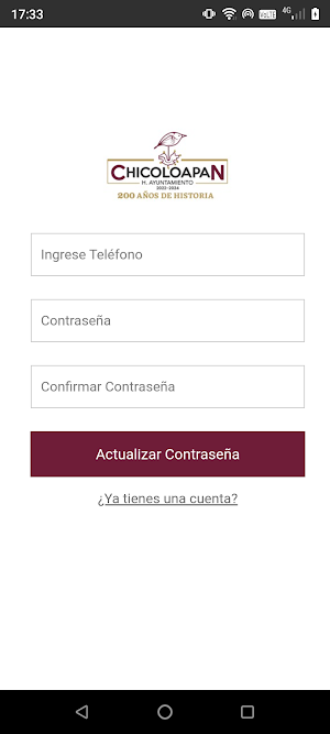 DIF Chicoloapan Screenshot 2