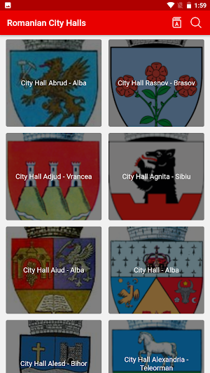 Romanian City Halls Screenshot 1