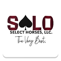 Select Online Horse Sales