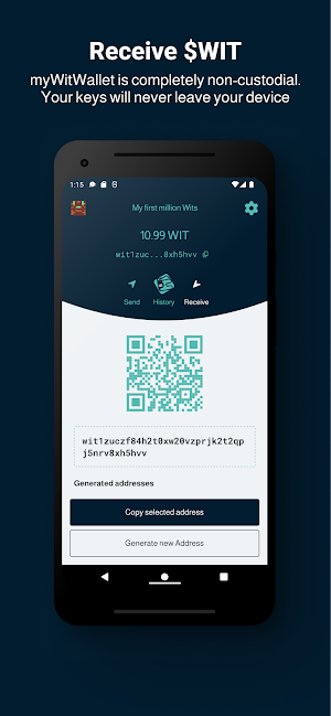 myWitWallet Screenshot 2