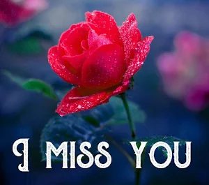 I love you Images Screenshot 3